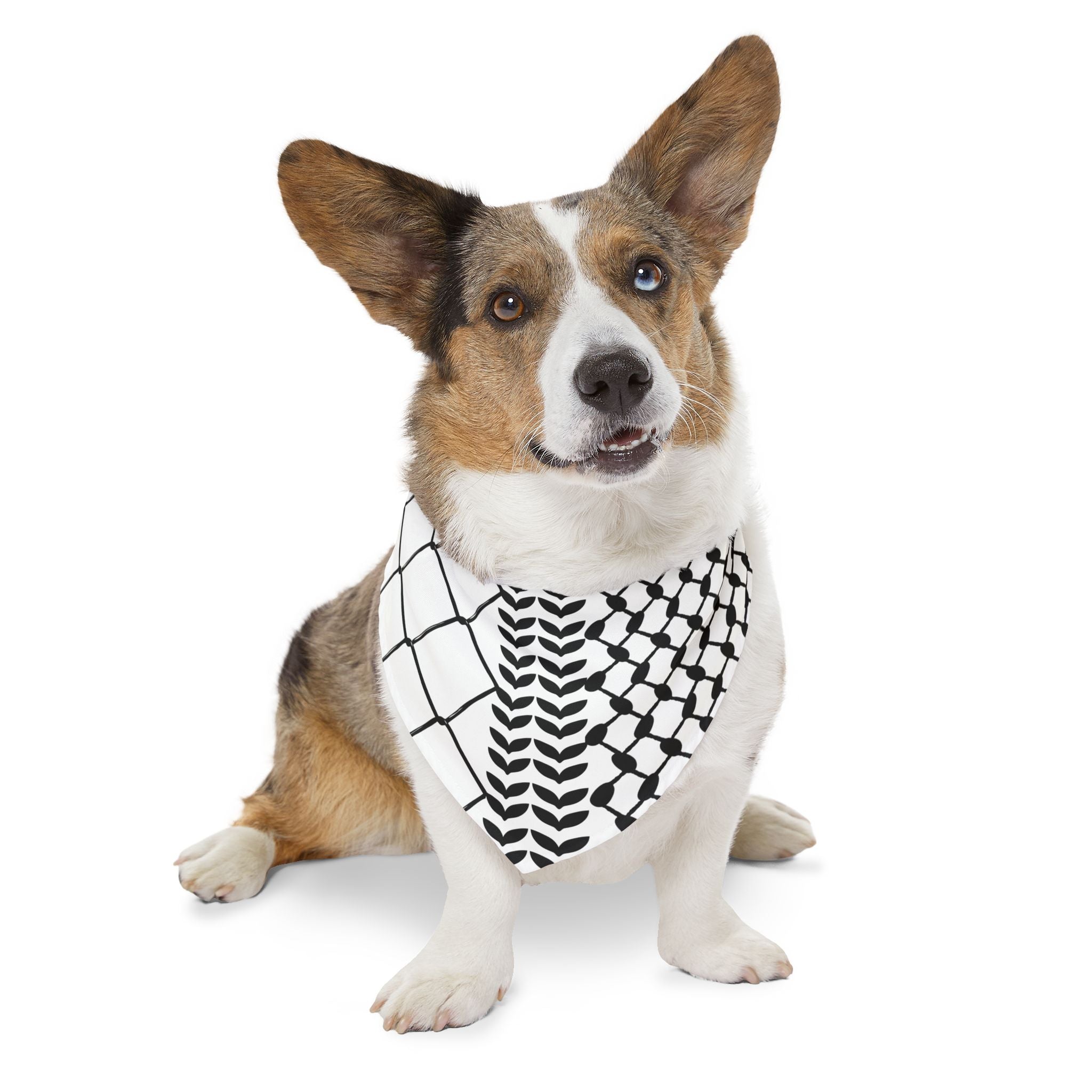 Show Your Solidarity with Our Palestinian Keffiyeh Pet Bandana Collar