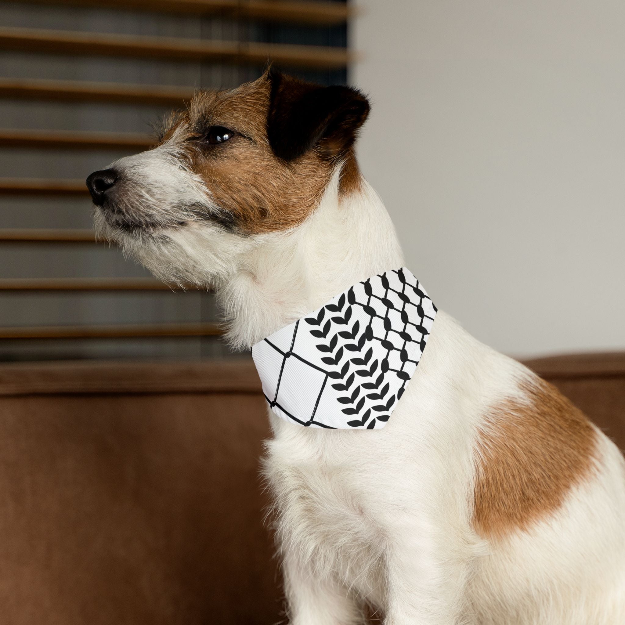 slider image 1621243260e1af0c20-1