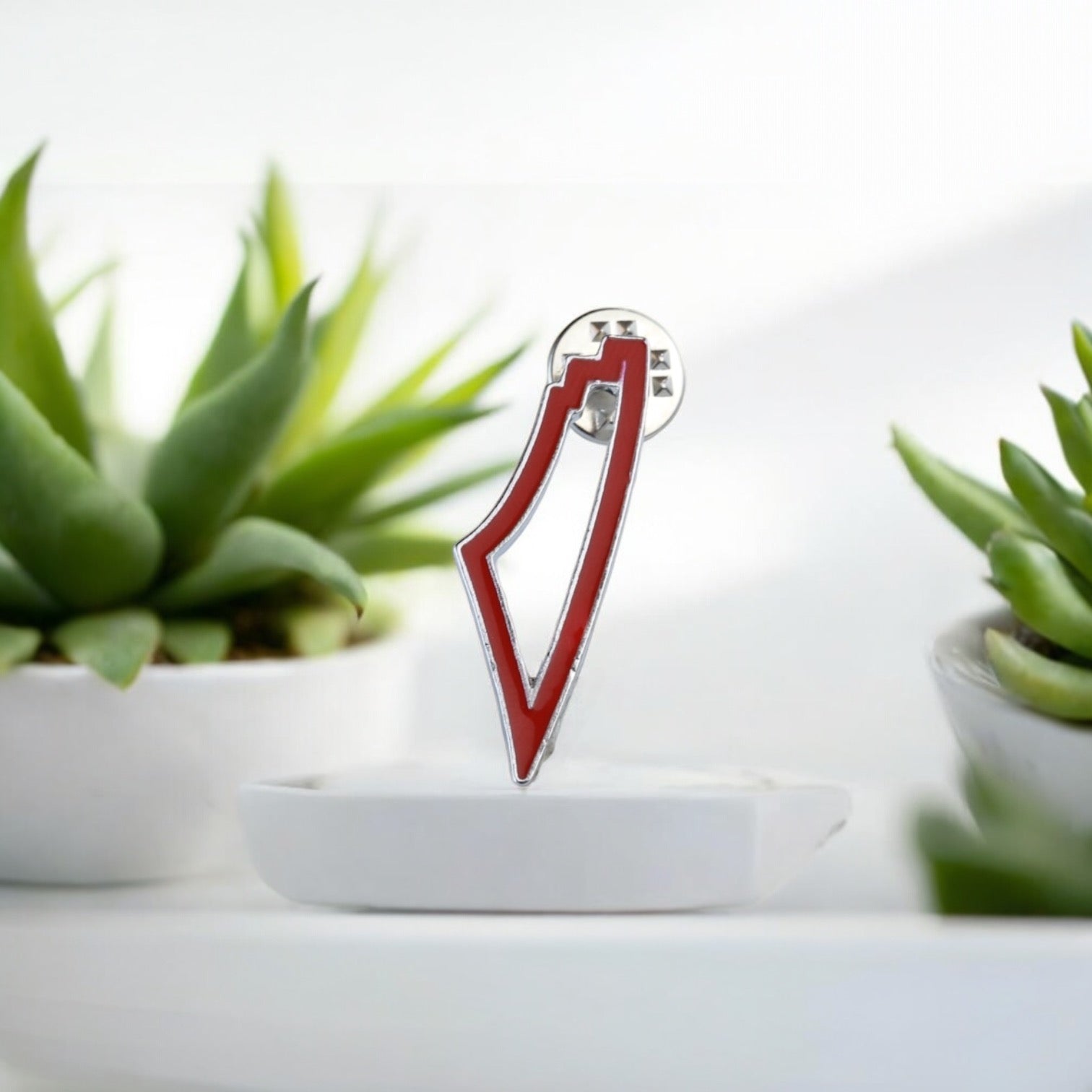 Palestine map Brooch Pin
