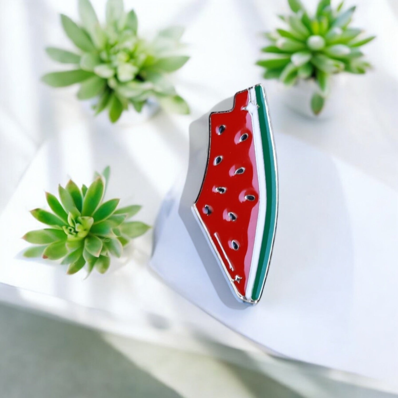 Palestine map Brooch Pin